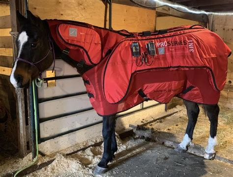PEMF Therapy Equine Horse Back Blanket Health Injury Treatment. . Pemf horse blanket reviews